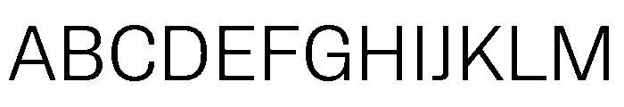 Protokoll Light Font UPPERCASE