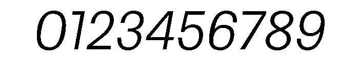 Protokoll LightItalic Font OTHER CHARS