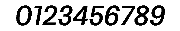Protokoll MediumItalic Font OTHER CHARS
