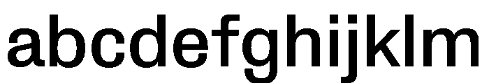 Protokoll Medium FONT