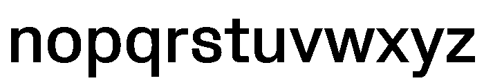 Protokoll Medium Font LOWERCASE