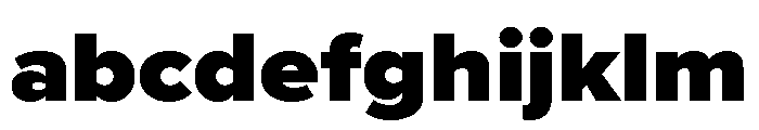 Proxima Nova Wide Black FONT