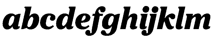 Proxima Sera Black Italic FONT