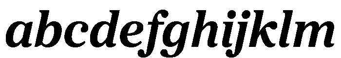 Proxima Sera Bold Italic FONT
