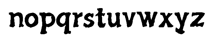 PT_Serif Font LOWERCASE