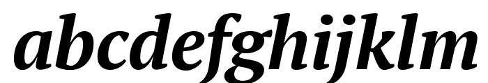 PT Serif Bold Italic Font LOWERCASE