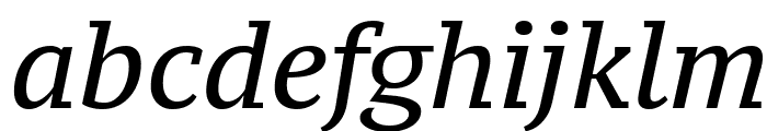 PT Serif Caption Italic Font LOWERCASE