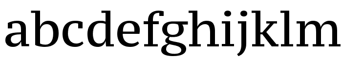 PT Serif Caption Font LOWERCASE