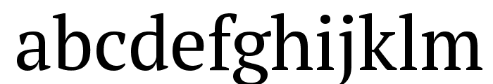 PT Serif Font LOWERCASE