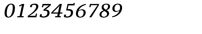 PT Serif Pro Caption Italic Font OTHER CHARS