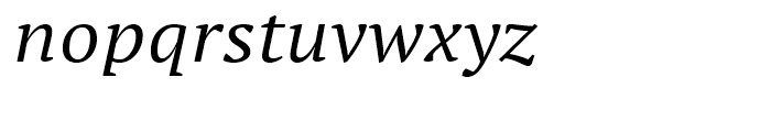 PT Serif Pro Extended Italic Font LOWERCASE