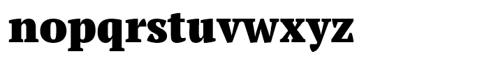 PT Serif Pro Narrow Black Font LOWERCASE