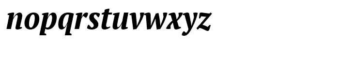 PT Serif Pro Narrow Bold Italic Font LOWERCASE