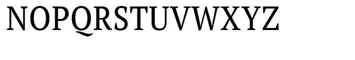 PT Serif Pro Narrow Font UPPERCASE
