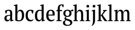 PT Serif Pro Narrow Regular Font LOWERCASE