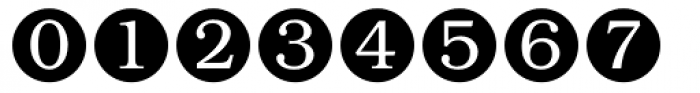 PT Numerals Font OTHER CHARS