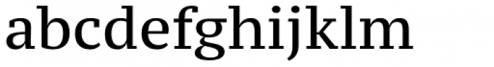 PT Serif Pro Caption Font LOWERCASE