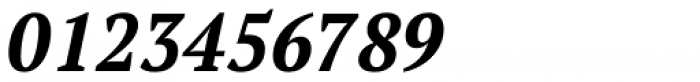 PT Serif Pro Narrow Bold Italic Font OTHER CHARS
