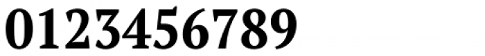 PT Serif Pro Narrow Bold Font OTHER CHARS