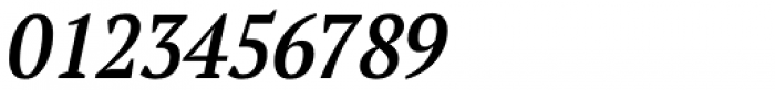 PT Serif Pro Narrow Demi Italic Font OTHER CHARS