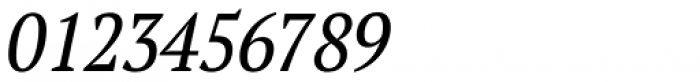 PT Serif Pro Narrow Italic Font OTHER CHARS