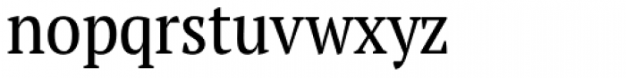 PT Serif Pro Narrow Font LOWERCASE