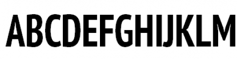 PT Sans Pro Cond Bold Font UPPERCASE