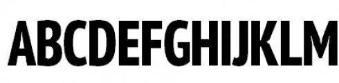 PT Sans Pro Cond Extra Bold Font UPPERCASE