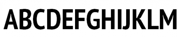 PT Sans Pro Narrow Bold Font UPPERCASE