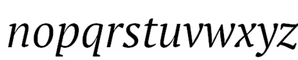 PT Serif Pro Book Italic Font LOWERCASE