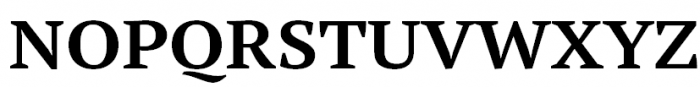 PT Serif Pro Extended Bold Font UPPERCASE