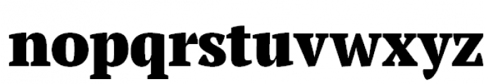 PT Serif Pro Narrow Black Font LOWERCASE
