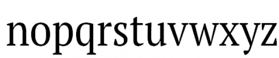 PT Serif Pro Narrow Book Font LOWERCASE