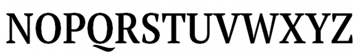 PT Serif Pro Narrow Demi Font UPPERCASE
