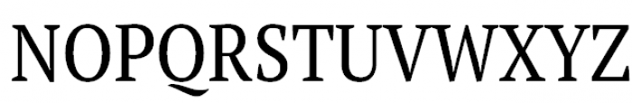PT Serif Pro Narrow Regular Font UPPERCASE