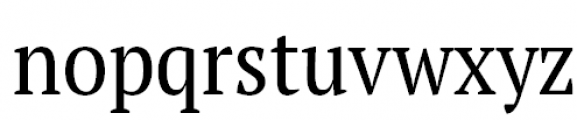 PT Serif Pro Narrow Regular Font LOWERCASE