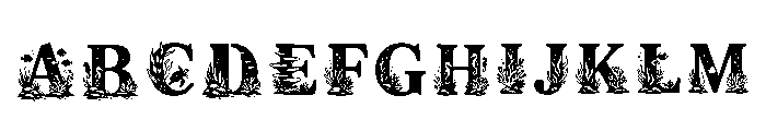 Puck Regular FONT