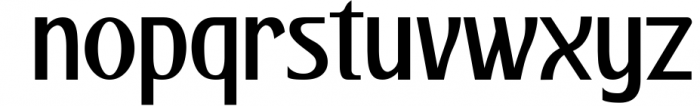 Pulchella Bold Serif Font | New Updates 1 Font LOWERCASE