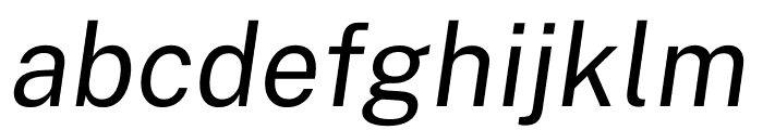 Public Sans Italic Font LOWERCASE