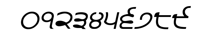 Punjabi  Italic Font OTHER CHARS