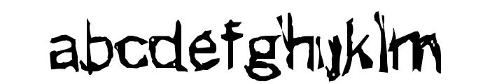 Punker Font LOWERCASE