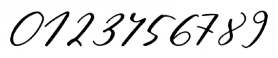 Pushkin Script High Font OTHER CHARS