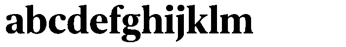 Pulso Bold FONT