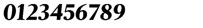 Pulso Pro Bold Inclined Font OTHER CHARS