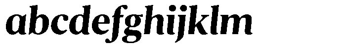 Pulso Pro Bold Inclined FONT