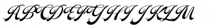 Putteri Script Bold Italic Font UPPERCASE