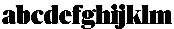 Publico Banner Condensed Ultra FONT