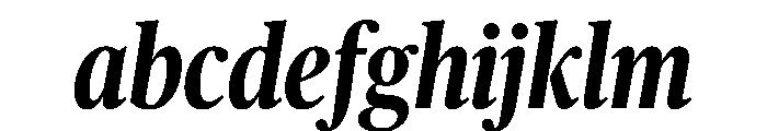 Publico Headline Condensed Bold Italic FONT
