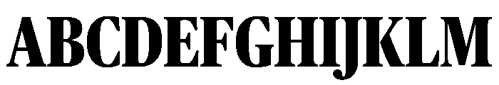 Publico Headline Condensed Extrabold Font UPPERCASE