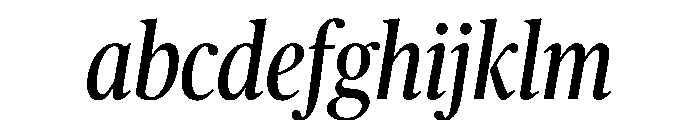 Publico Headline Condensed Italic FONT